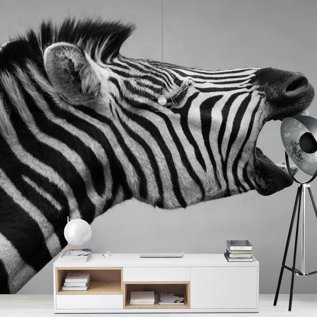 Carte da parati con zebre Zebra ruggente ll