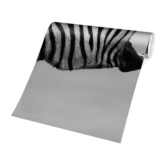 Carta da parati bianco e nero  Zebra ruggente ll
