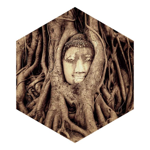 Carte da parati marroni Buddha ad Ayutthaya rivestito dalle radici degli alberi in marrone