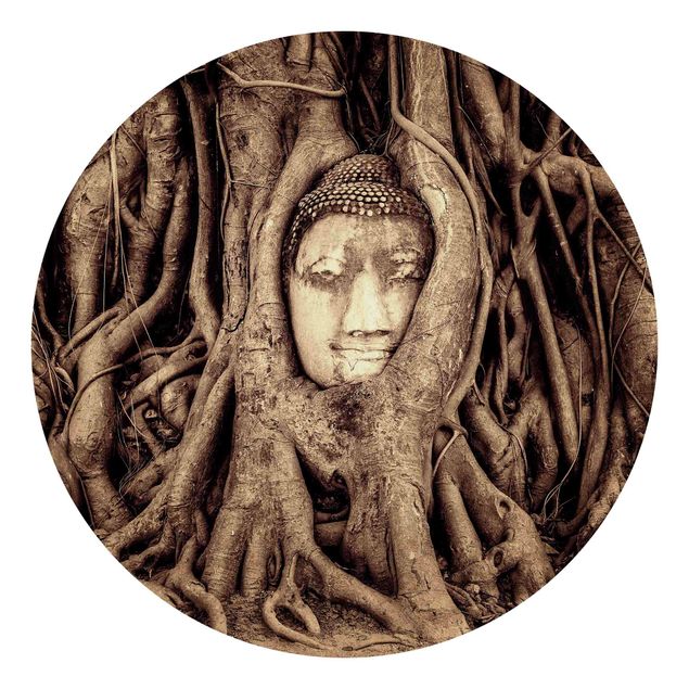 Carte da parati moderne Buddha ad Ayutthaya rivestito dalle radici degli alberi in marrone