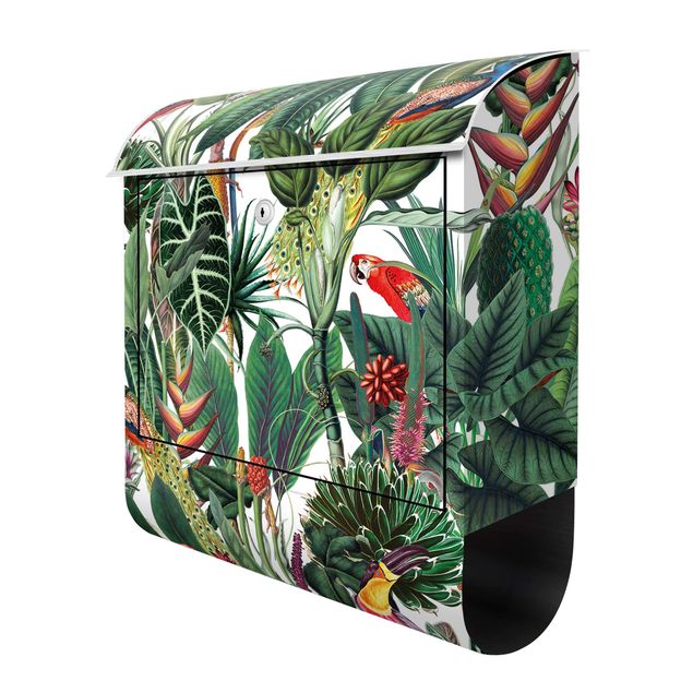 Cassetta della posta verde Motivo di foresta tropicale colorata