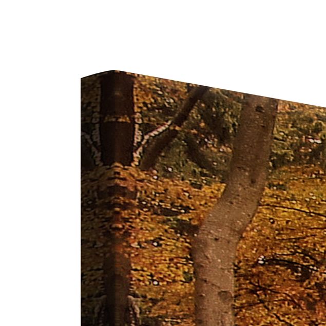 Stampa su tela 3 parti - Herbstspaziergang - Collage 1
