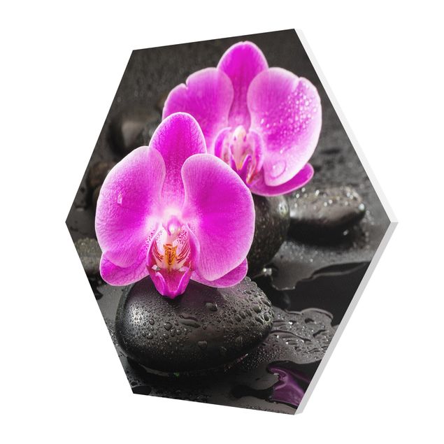 Quadri Fiore di orchidea rosa su pietra con gocce