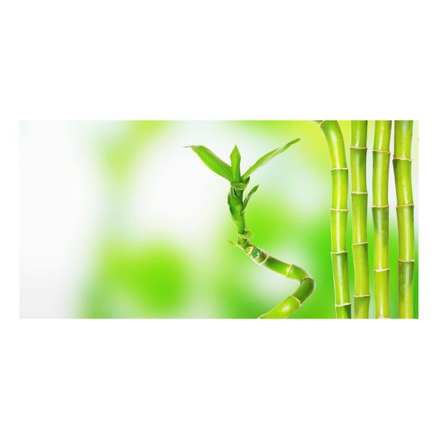 Paraschizzi in vetro - green bamboo