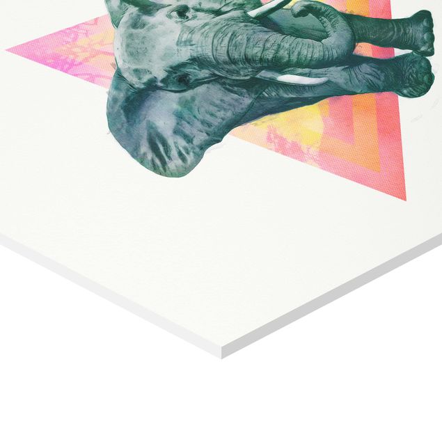 Quadro esagonale Illustrazione - Elefante fronte triangolo pittura