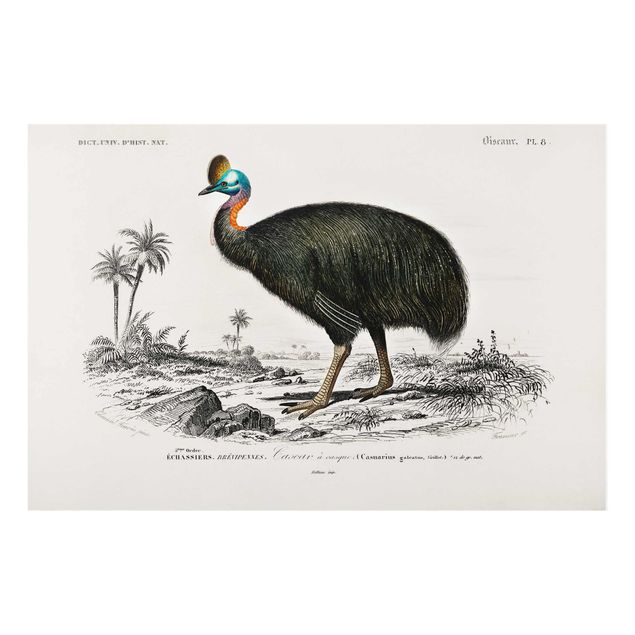 Quadri grigi Bacheca Vintage Emu