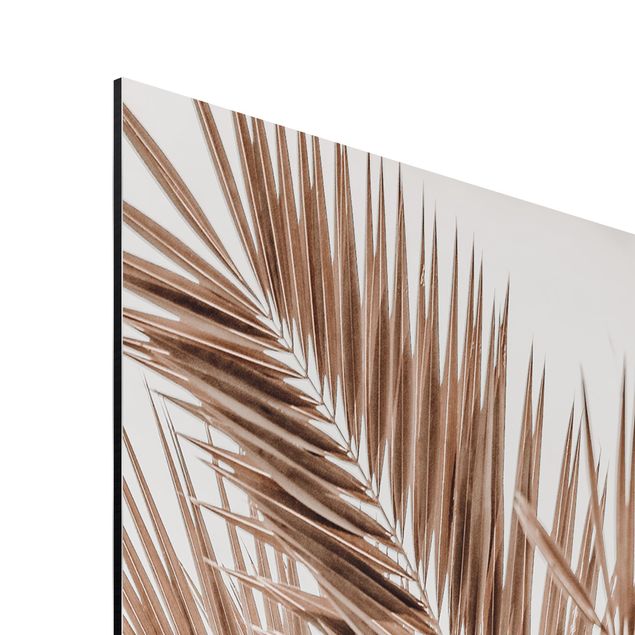 Quadri marroni Fronde di palma color bronzo