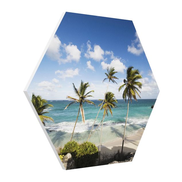 Quadro moderno Spiaggia di Barbados