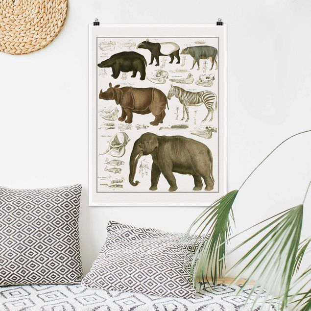 Quadro Africa Bacheca Vintage Elefante, zebra e rinoceronte
