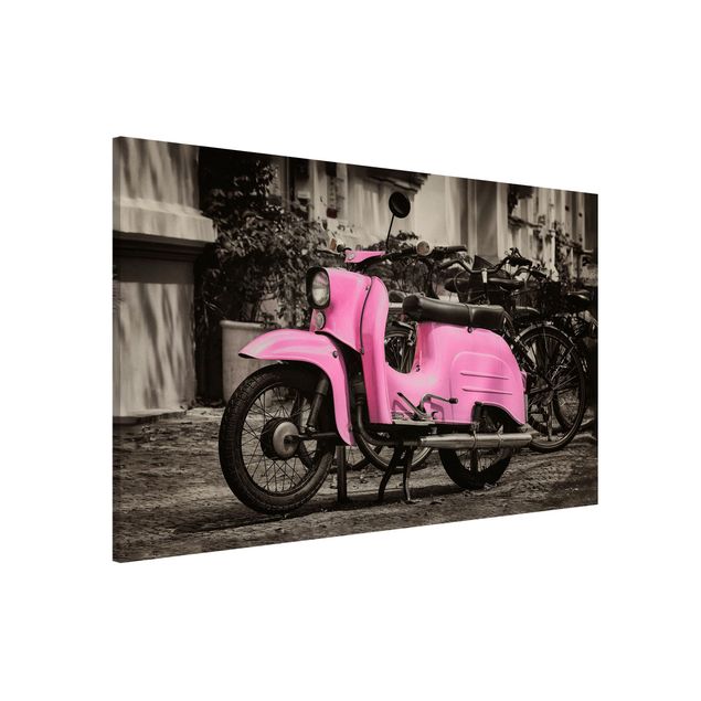 Quadri moderni   Scooter rosa