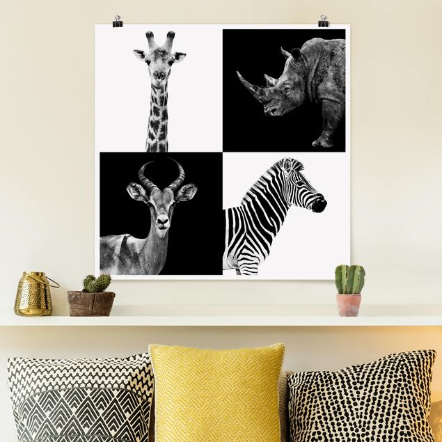 Quadri zebra Quartetto di safari