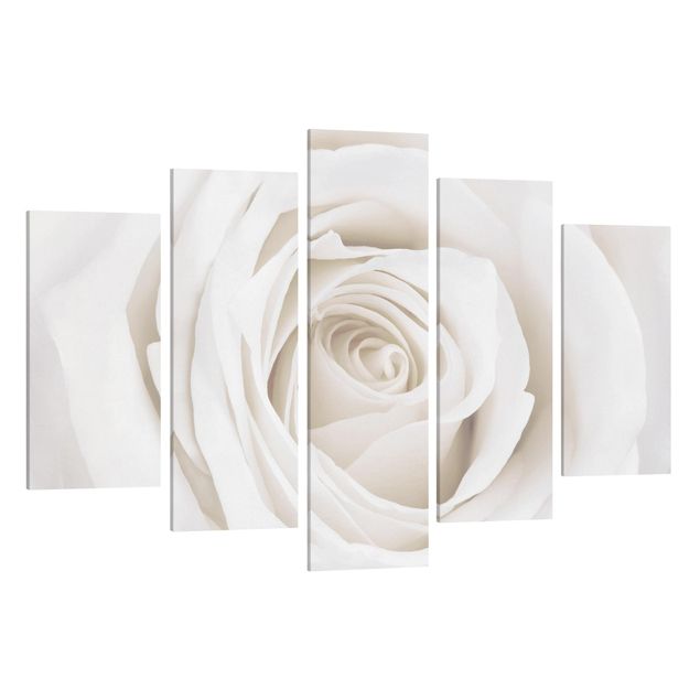 Quadro su tela componibile Bella rosa bianca