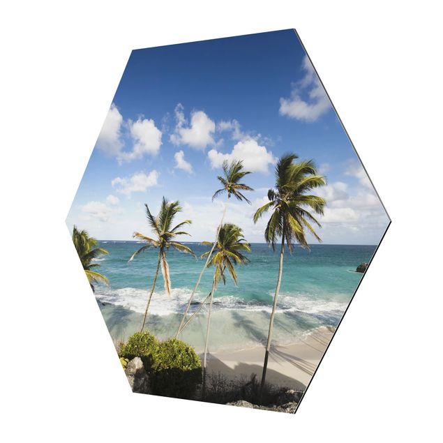 Quadri natura Spiaggia di Barbados