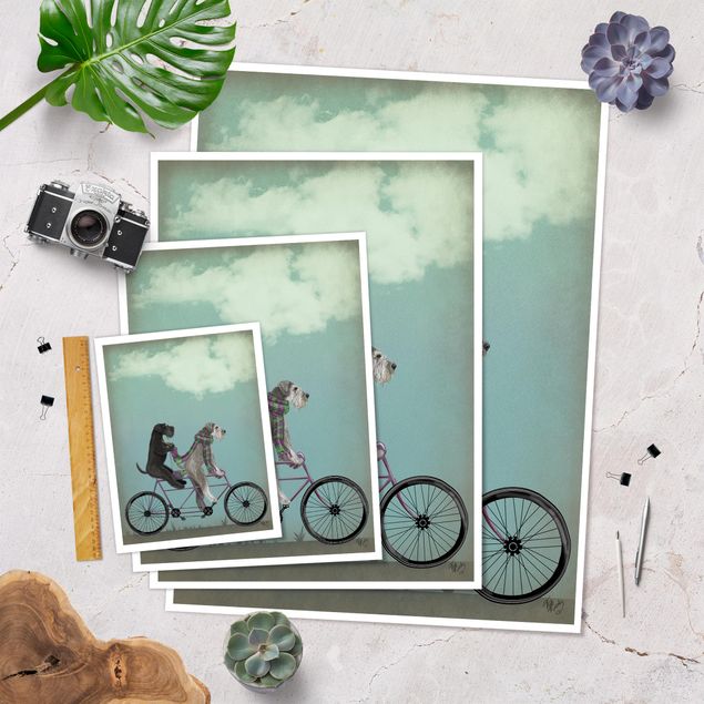 Poster da parete  Ciclismo - Schnauzer in tandem