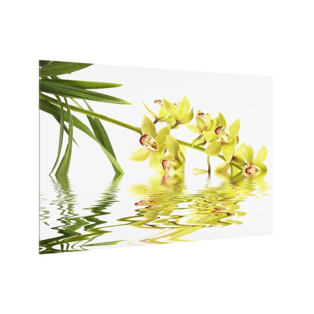 Paraspruzzi cucina Eleganti acque di orchidea