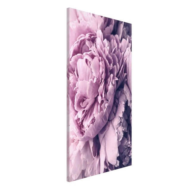 Lavagne magnetiche con fiori Fiori di peonia viola