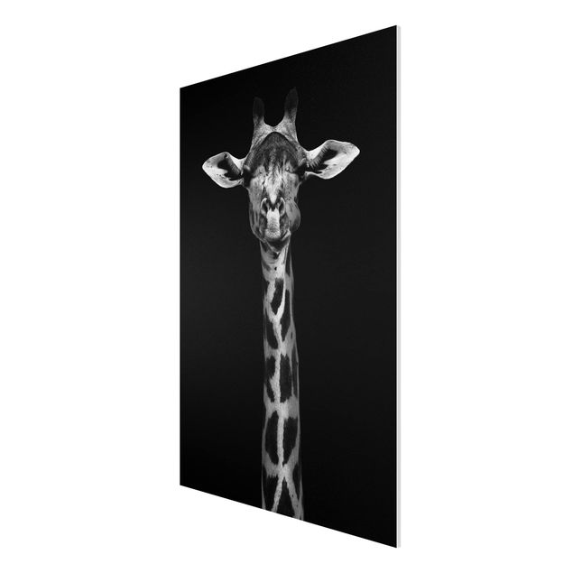 Quadri moderni   Ritratto di giraffa scura