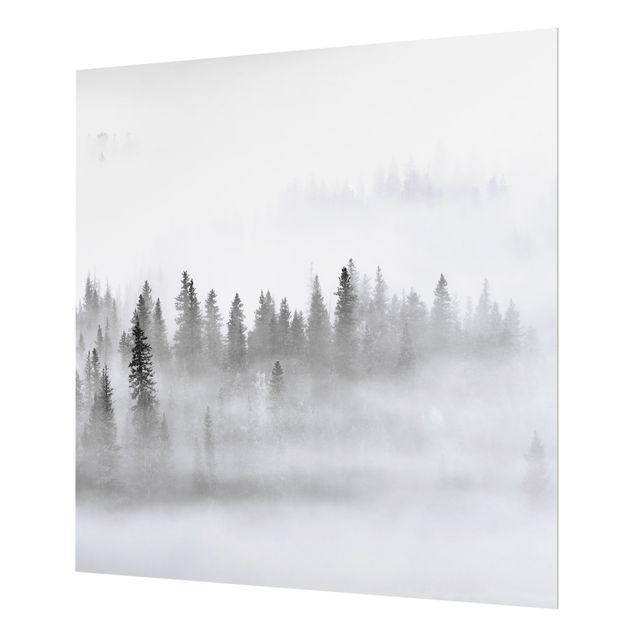 Paraschizzi in vetro - Nebbia nel bosco di abeti in bianco e nero - Quadrato 1:1