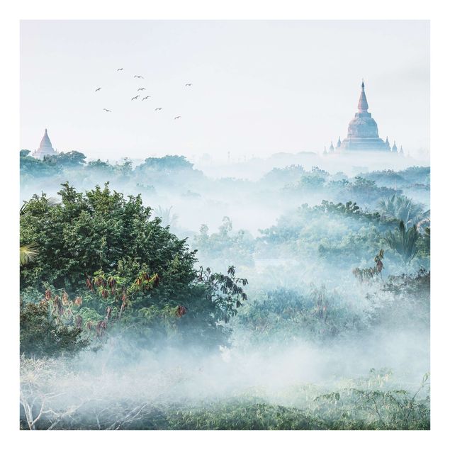 Paraschizzi cucina vetro Nebbia mattutina sulla giungla di Bagan