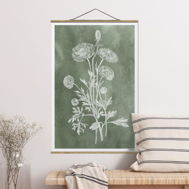 Quadro moderno Illustrazione vintage Salvia
