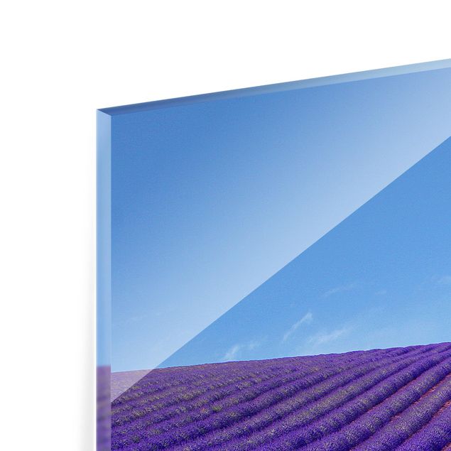 Paraschizzi in vetro - Lavender Fragrance In Provence