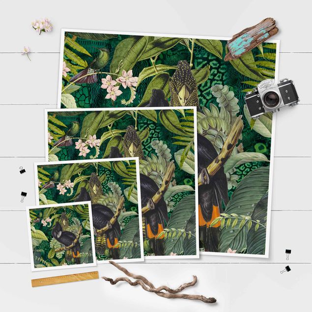 Stampe poster Collage colorato - Cacatua nella giungla