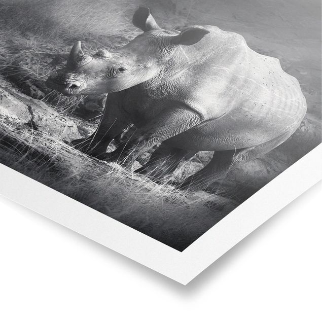 Poster bianco nero Rinoceronte solitario