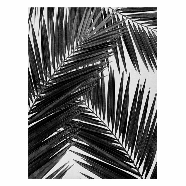 Lavagne magnetiche con fiori Vista sulle foglie di palma in bianco e nero