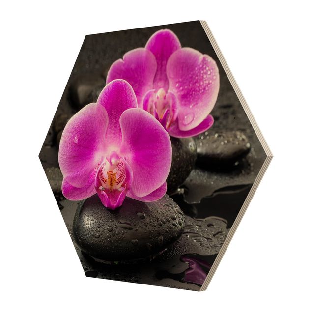 Stampe Fiore di orchidea rosa su pietra con gocce