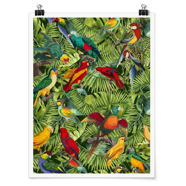 Riproduzioni quadri Collage colorato - Pappagalli nella giungla