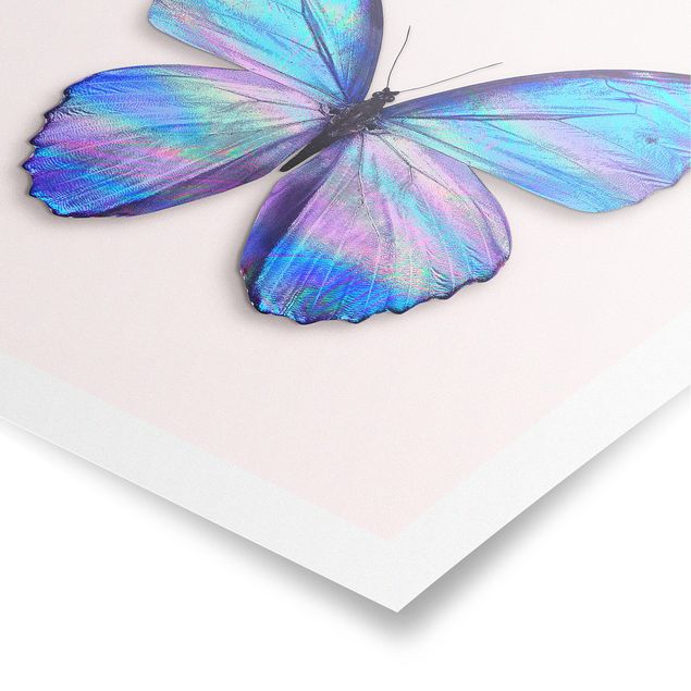Riproduzioni quadri famosi Farfalla olografica
