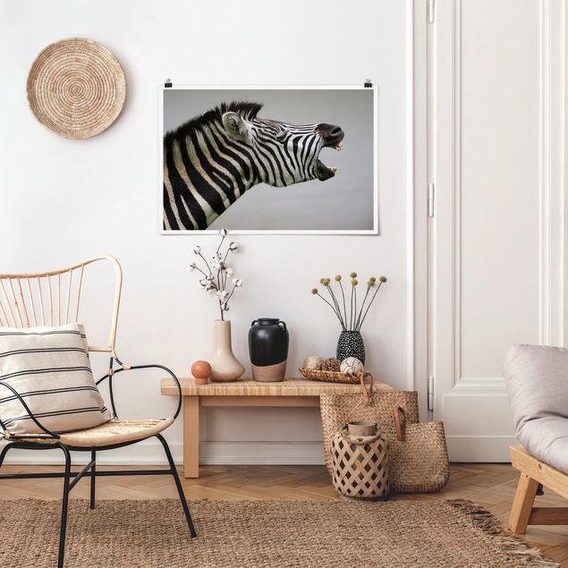 Quadro moderno Zebra ruggente