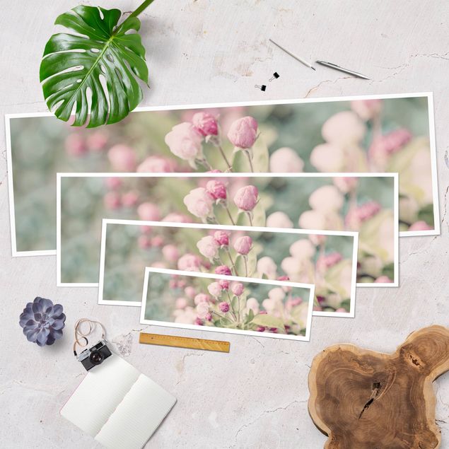 Poster - Apple Blossom rosa bokeh - Panorama formato orizzontale