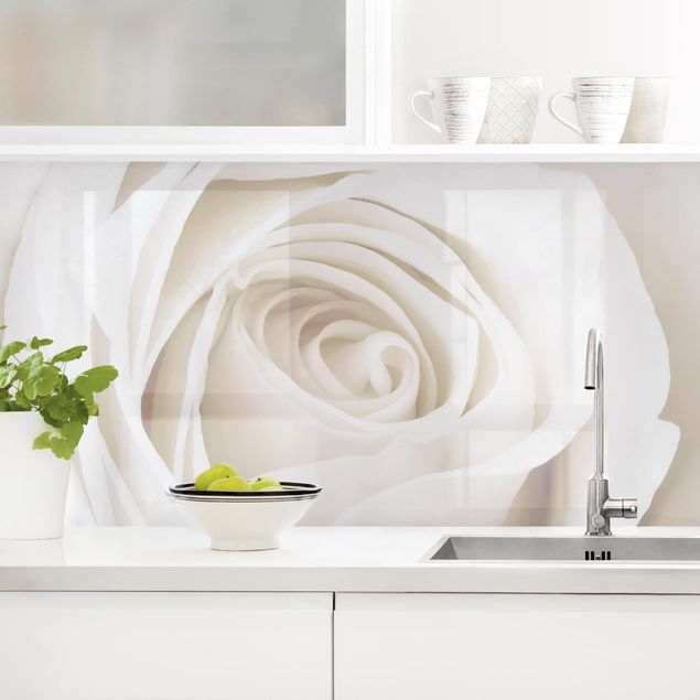 Rivestimenti per cucina con fiori Bella rosa bianca