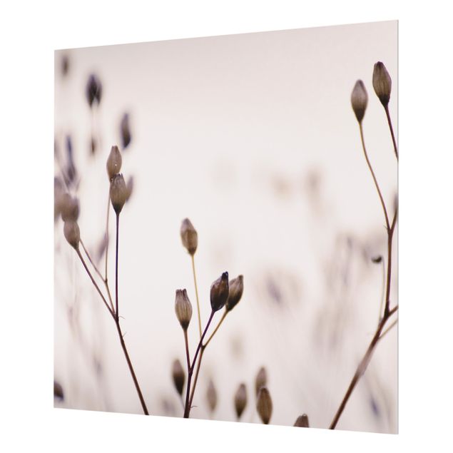 Paraschizzi in vetro - Gemme scure su ramo di fiori selvatici - Quadrato 1:1