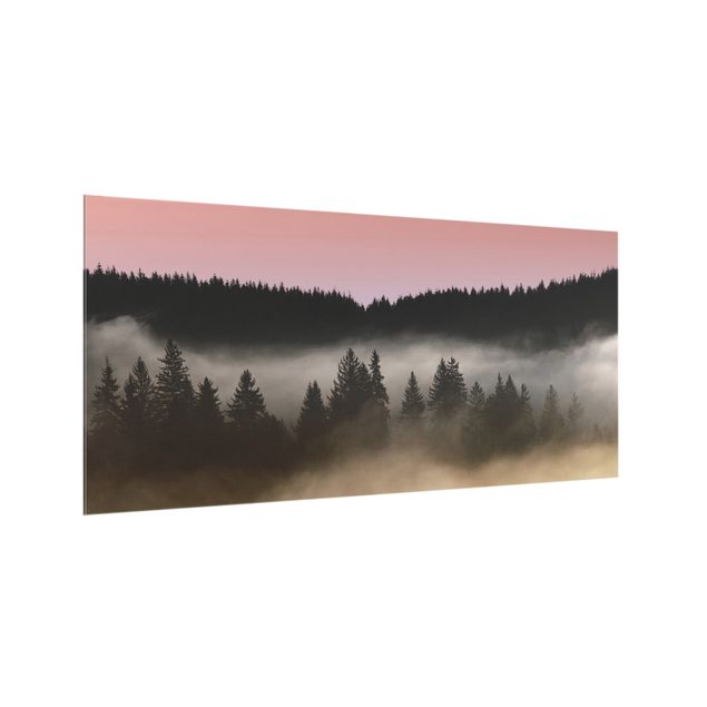 Paraschizzi cucina Foresta nebbiosa sognante