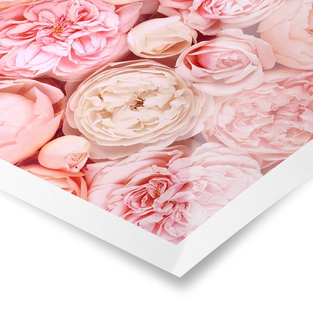 Poster - Rose Rose Coral Shabby - Verticale 4:3