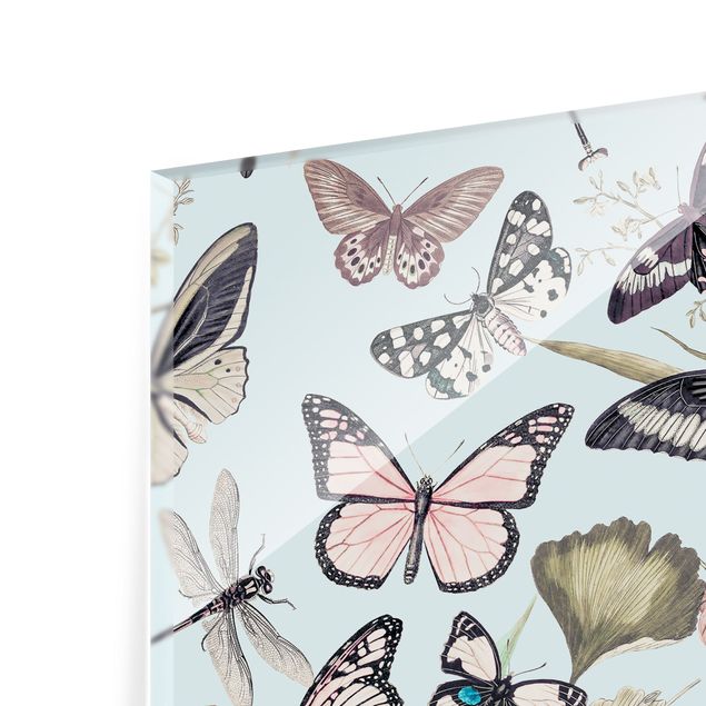 Paraschizzi cucina vetro Collage vintage - Farfalle e libellule