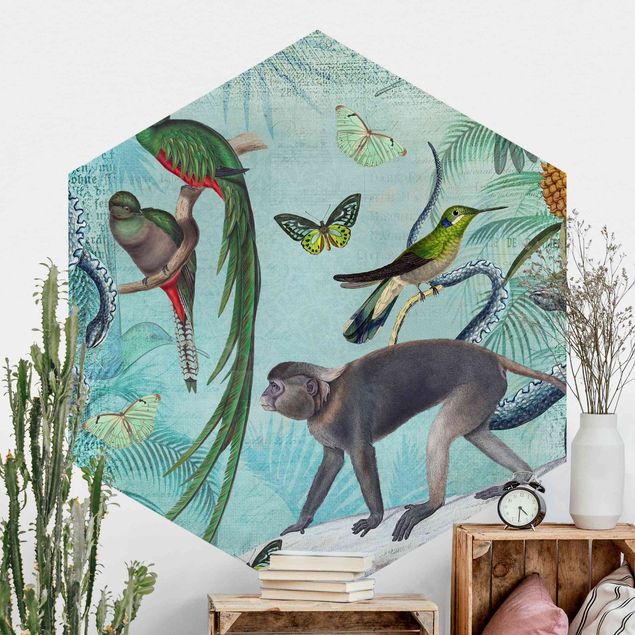 Carte da parati adesive Collage in stile coloniale - Scimmie e uccelli del paradiso