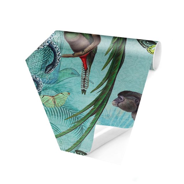 Carte da parati floreali Collage in stile coloniale - Scimmie e uccelli del paradiso