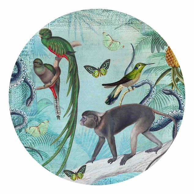 Carte da parati con farfalle Collage in stile coloniale - Scimmie e uccelli del paradiso