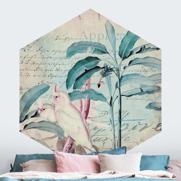 Carta da parati con uccelli e fiori Collage in stile coloniale - Cacatua e palme