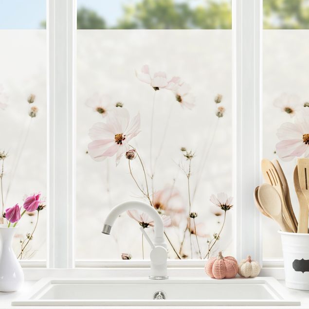Adesivi floreali per vetri Cosmea in delicati toni color crema