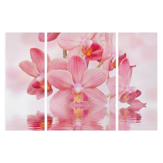 Quadri con fiori Orchidea rosa chiaro sull'acqua