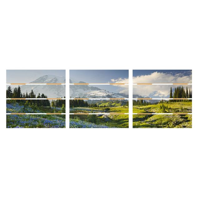 Stampe Prato di montagna con fiori blu davanti al monte Rainier