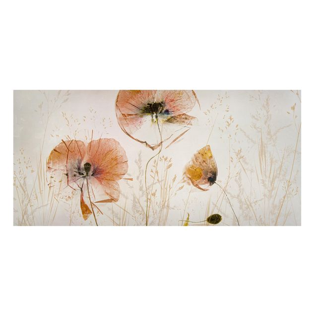 Lavagne magnetiche con fiori Fiori di papavero secchi con erbe delicate