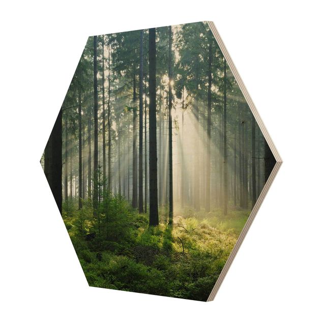 Esagono in legno - Enlightened Foresta