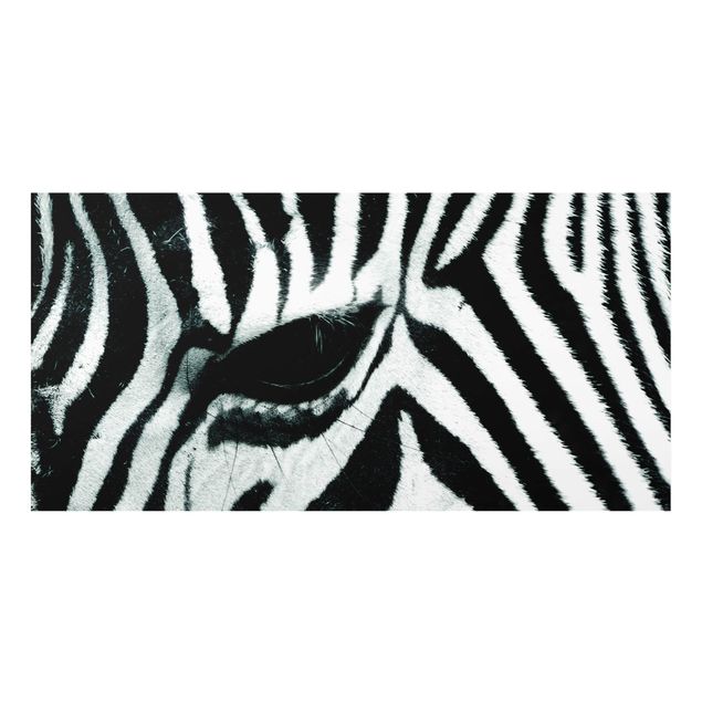 Paraschizzi in vetro - Zebra Crossing No.4