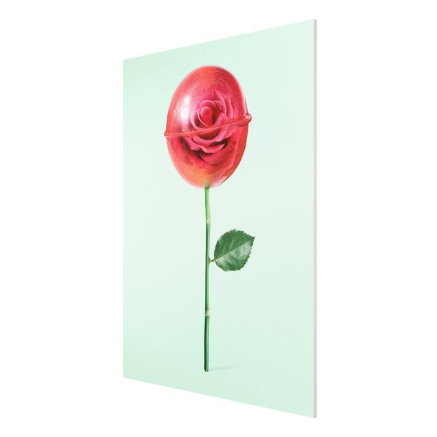 Quadri con fiori Rosa con lecca-lecca