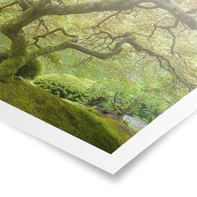 Poster paesaggio Giardino verde giapponese